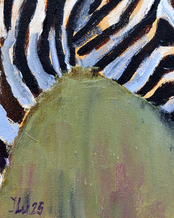 Zebra in profile
