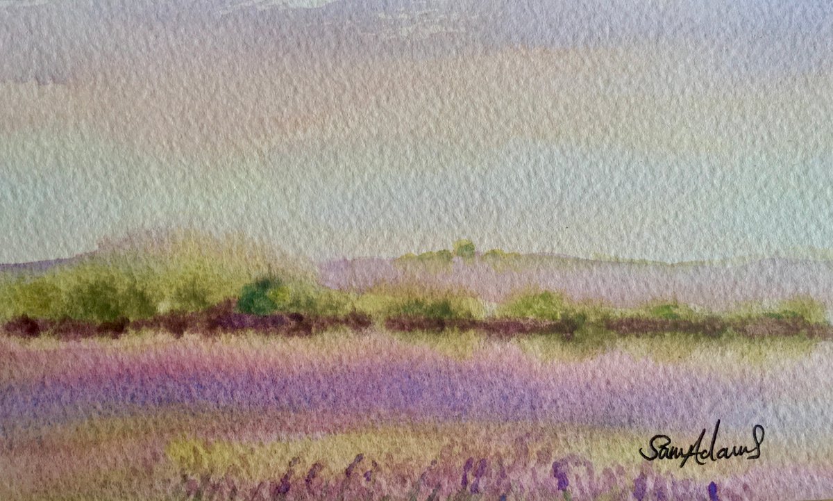 Lavender fields, near Salisbury, Wiltshire by Samantha Adams professional watercolorist