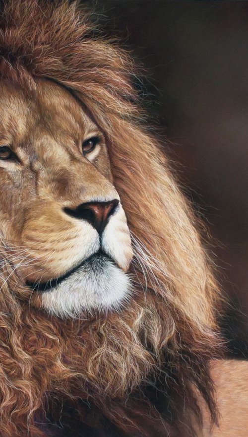 Lion King by Tatjana Bril