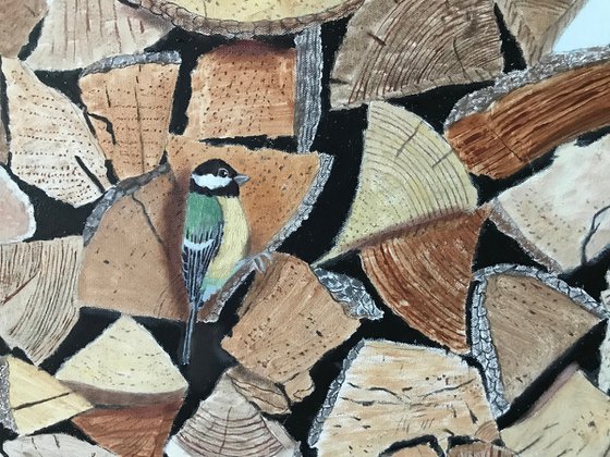 BIRDS OF A FEATHER, BLUE TITS
