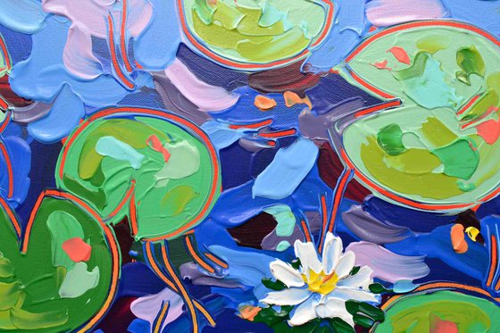 Tasman Lily Pond 27