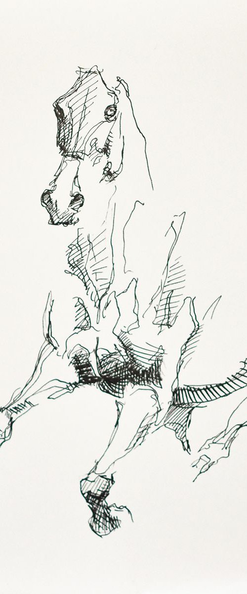 Equine Nude 148 by Benedicte Gele