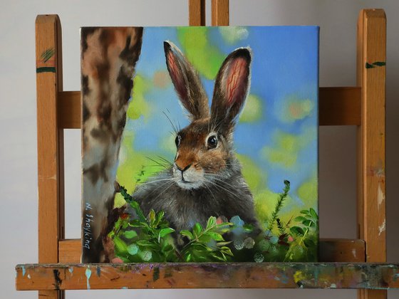 Brown Hare Portrait, Spring Rabbit