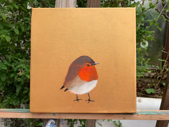 Little Robin