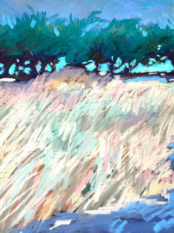Olive trees