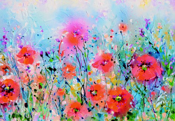 Tuscany Poppy Fields - Wild Flowers