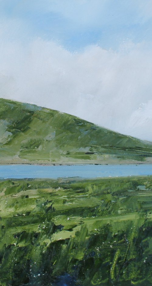 Near Spelga, Mourne Mountains, Irish Landscape by John Halliday