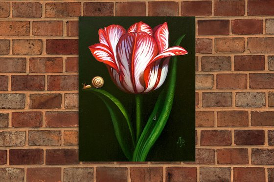 Tulip and snail