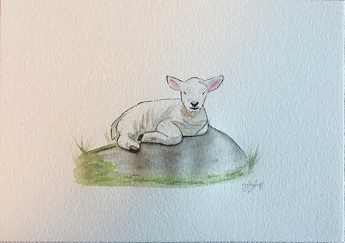 Lamb by Amelia Taylor