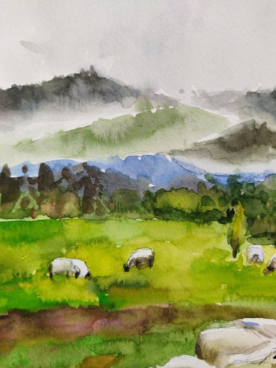 Scottish landscape with sheep