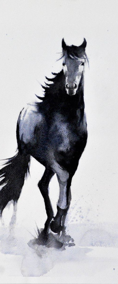 Black Horse by Flavio Furlan
