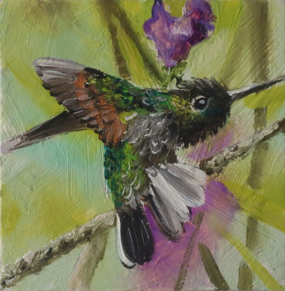 Hummingbird and Purple Flower, Set 2