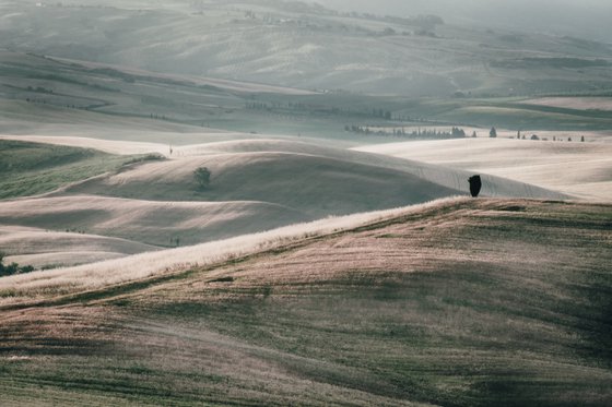 Summer among the Tuscan Hills