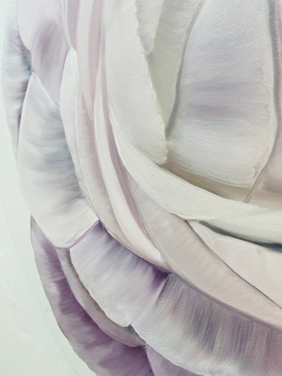 Petals of Light spring flowers blossoms peony