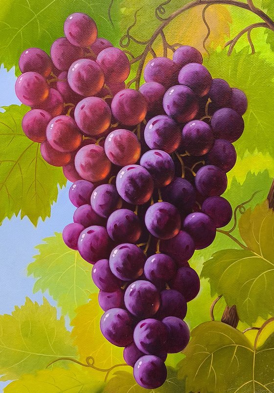 Sunlit Grapes
