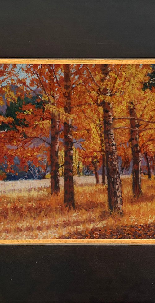 A Symphony of Autumn Aspens by Daniel Brian Fishback