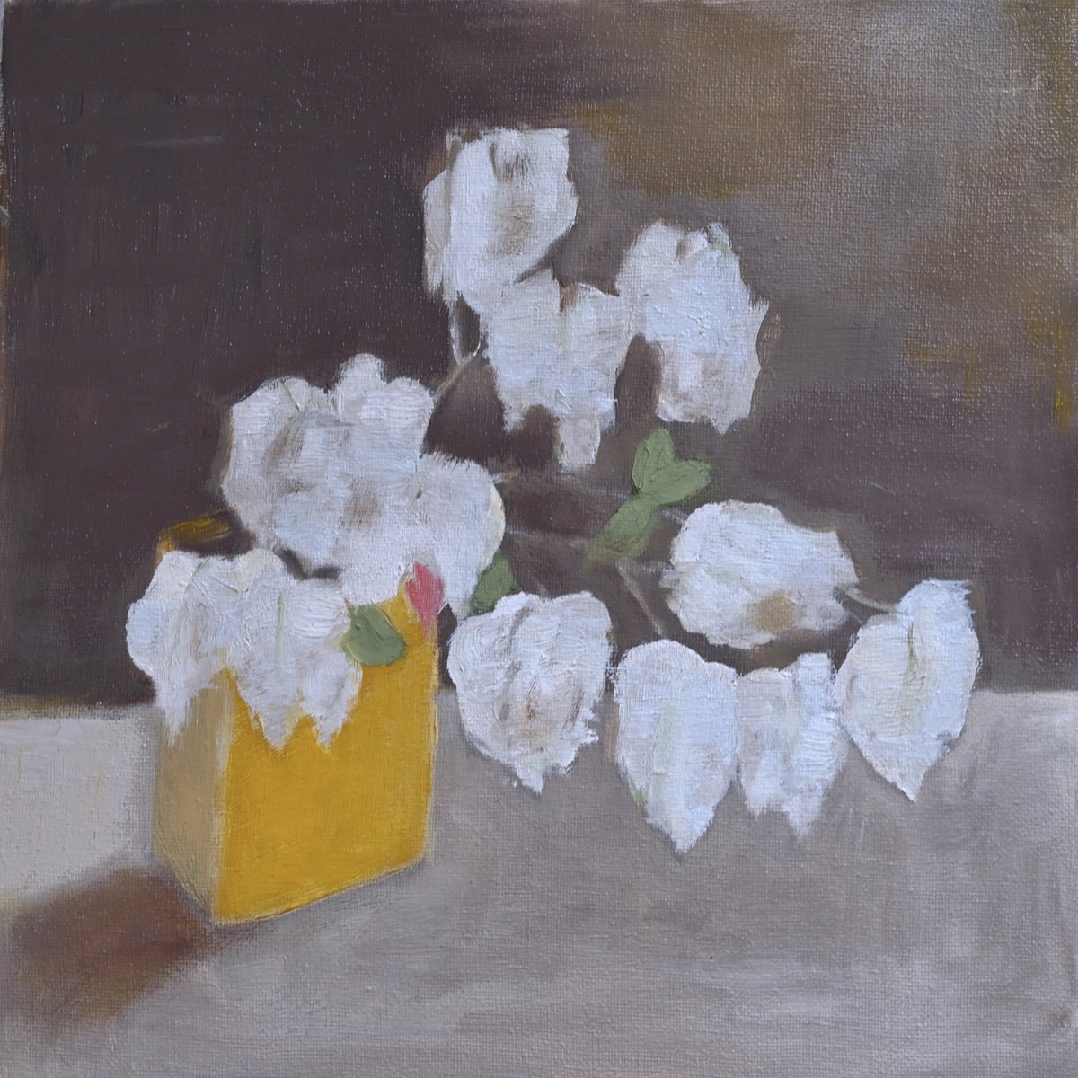 White Bougainvillea By Elena Zapassky, 12 X 12, Artwork For Sale On Artfinder