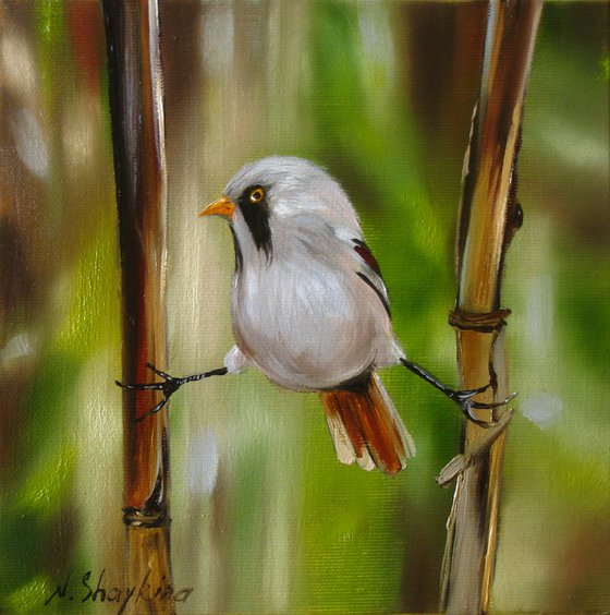 Small Bird Painting on Reeds