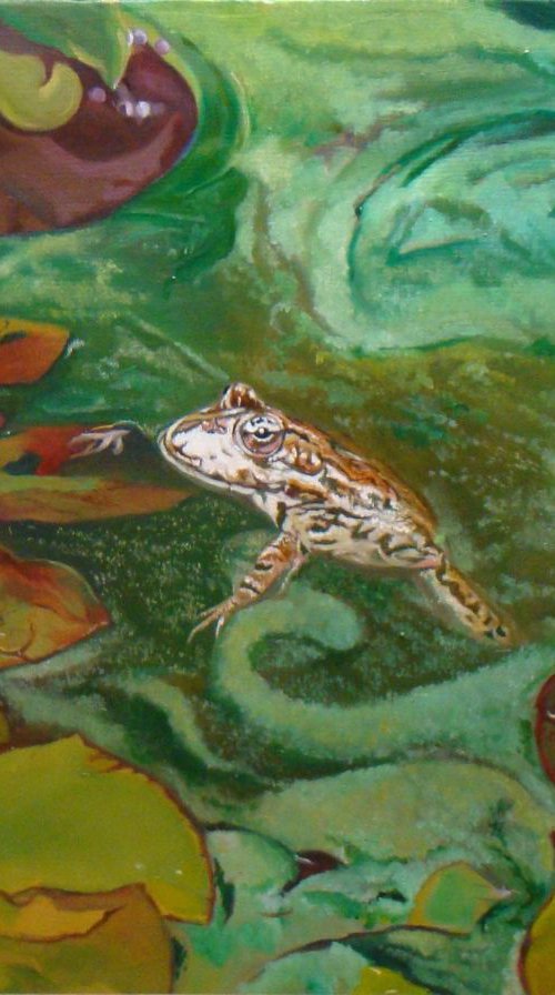 Frog and Water lilies by Anne Zamo