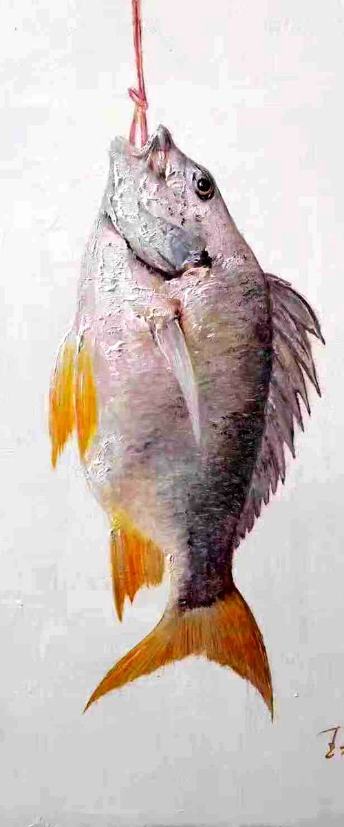 Fish by Kunlong Wang
