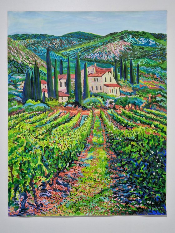 Tuscan Countryside with Vineyard