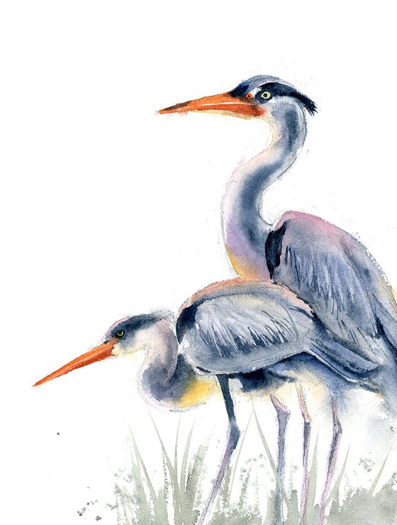 Two Herons  -  Original Watercolor Painting