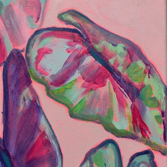 Alocasia Study III
