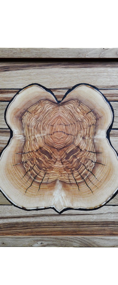 "Inner Beauty" by Sava Draganov