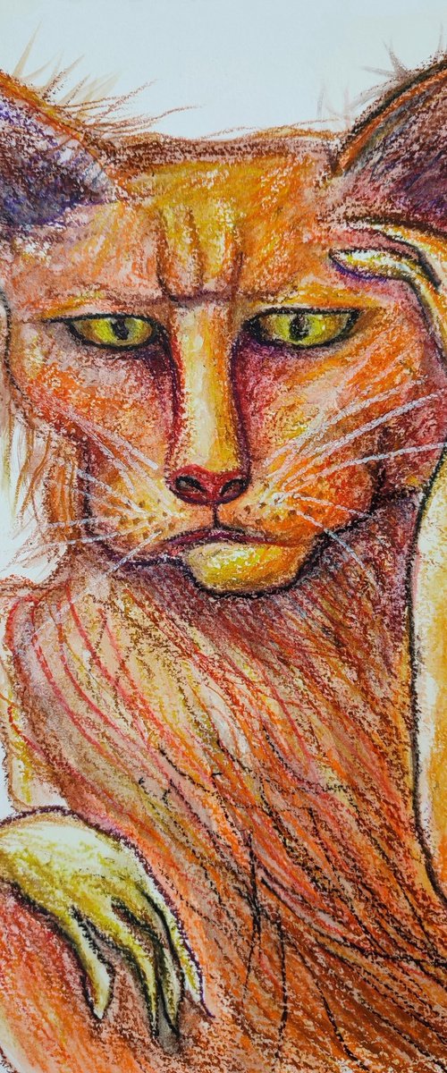 WTF? by Elisheva Nesis