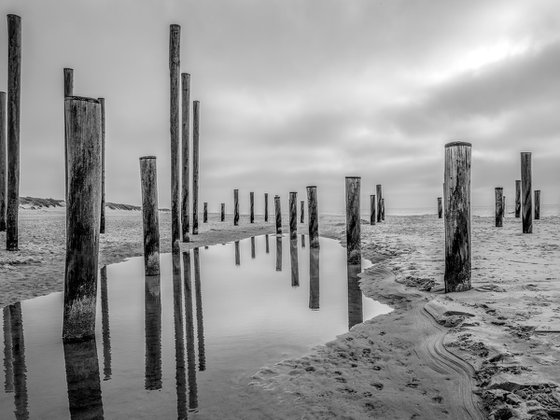 THE POLES ON THE BEACH II
