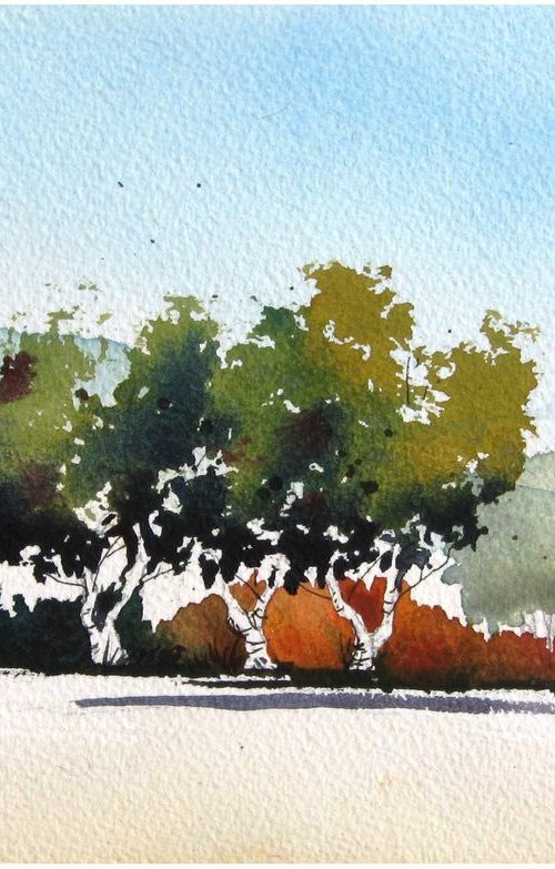 Little Grove IV - Original Watercolor Painting by CHARLES ASH