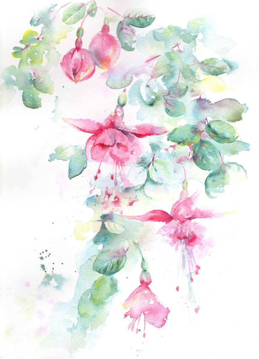 Fuchsia Painting, Floral watercolour, Floral Wall Art by Anjana Cawdell