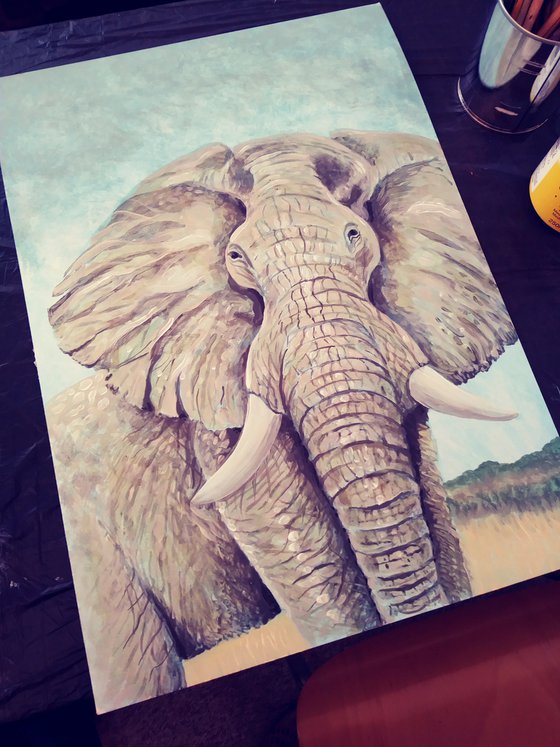 Elephant