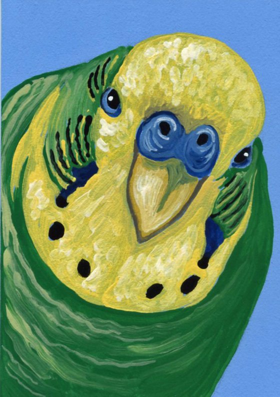 ACEO ATC Original Miniature Painting Green Budgie Parakeet Parrot Pet Bird Art-Carla Smale