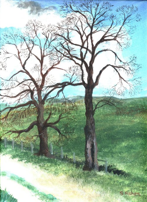 the majestic oaks by Sandra Fisher