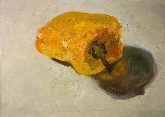 modern still life of orange pepper - rough style