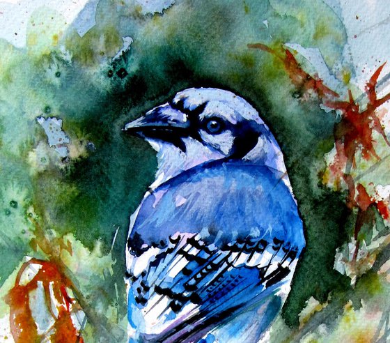 Blue bird