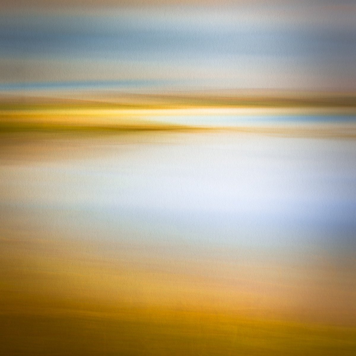 Abstract Landscape Photograph By Lynne Douglas, 60 X 60", Harvest Gold, Orkney, Original Artwork