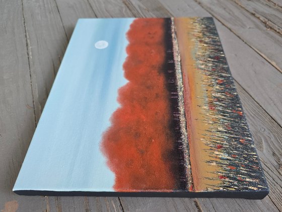 Music for the Moon