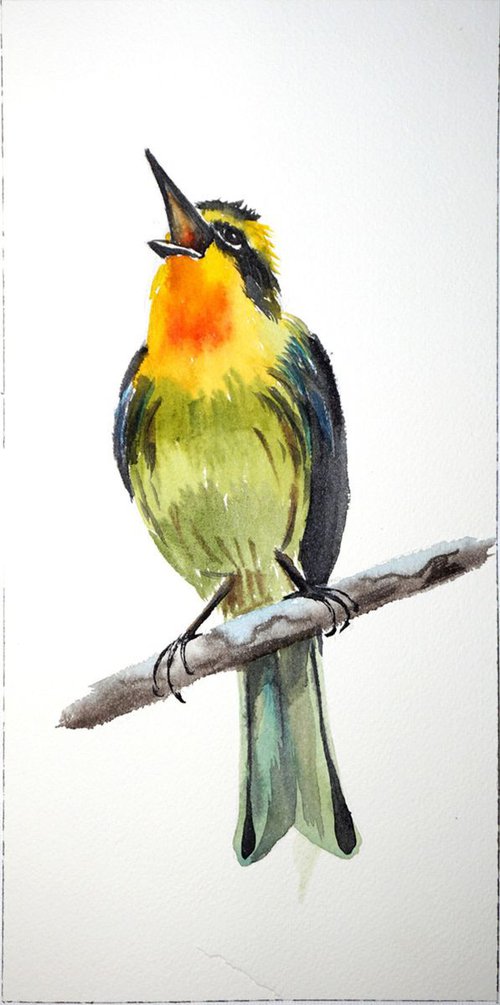 Blackburnian warbler by Olga Shefranov (Tchefranov)