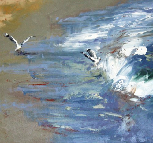 Seagulls by Claire McCall