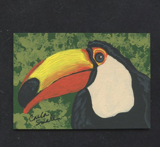 Toucan