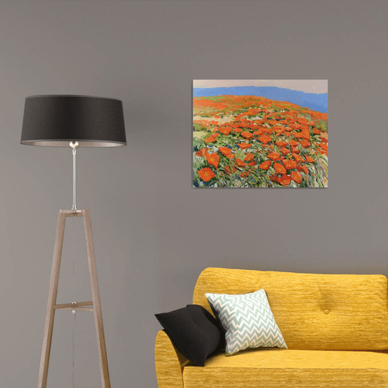 California Poppies
