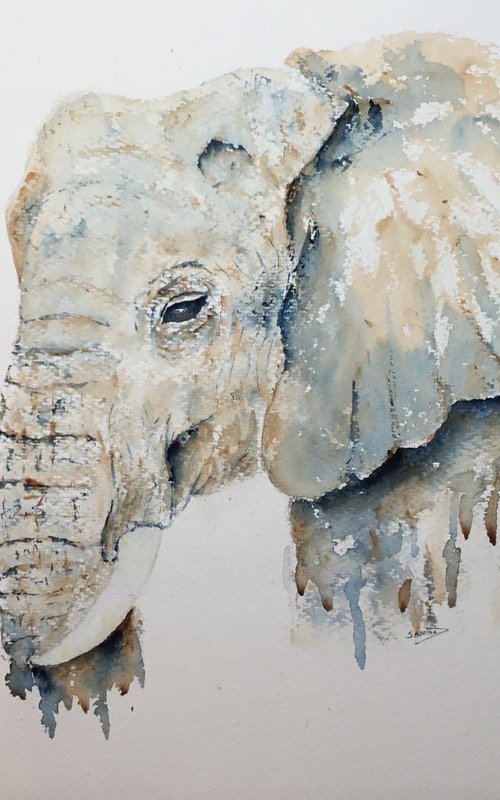 Elephant portrait by Sabrina’s Art