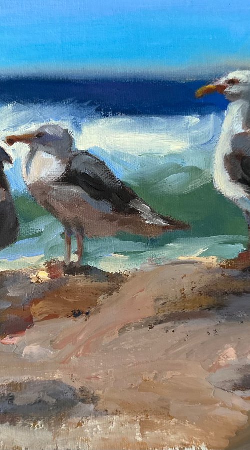 Seabirds by Grace Diehl