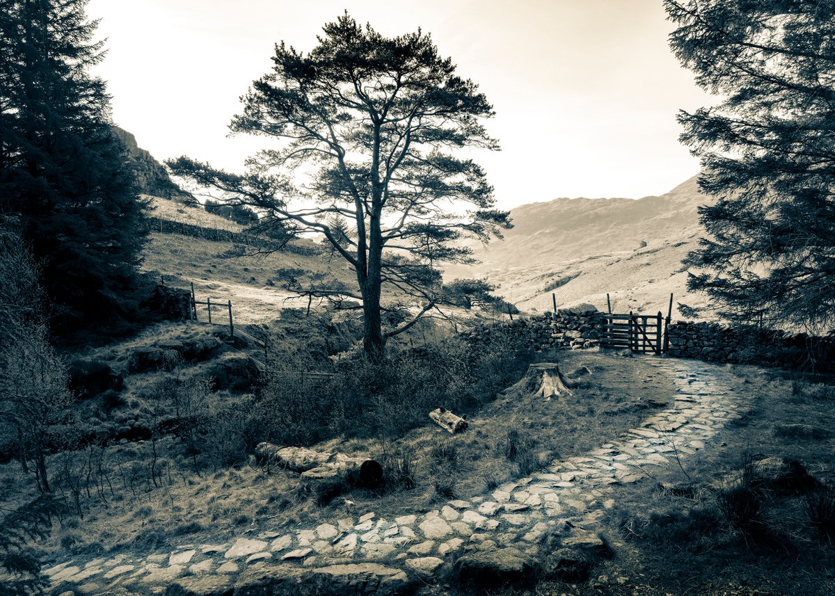 Blea Tarn Cobbled Path - Little Langdale Lake District ( Split Toned Print ) by Stephen Hodgetts Photography