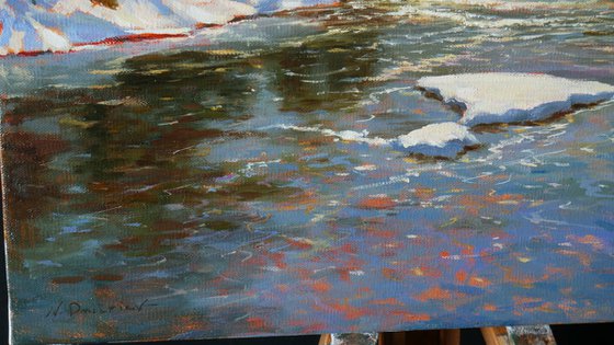 Early Spring Sunshine