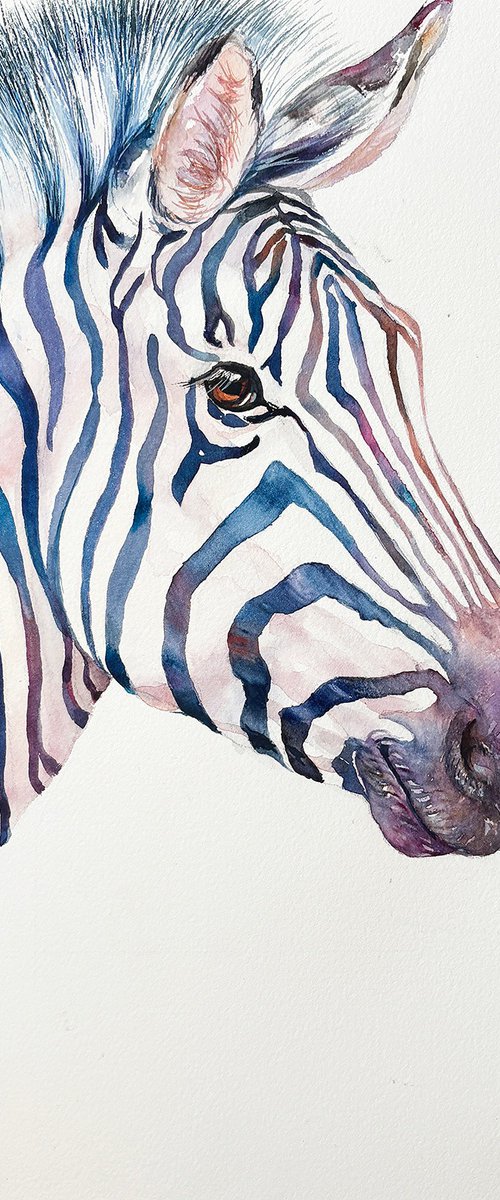 Blue Bjorn_Zebra by Arti Chauhan