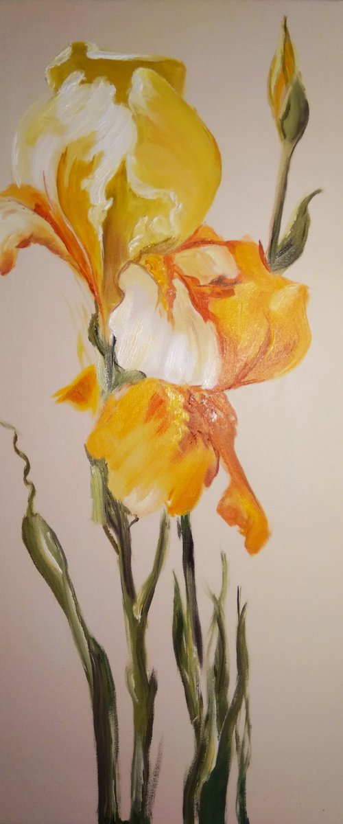 Yellow Irises by Valeriia Radziievska