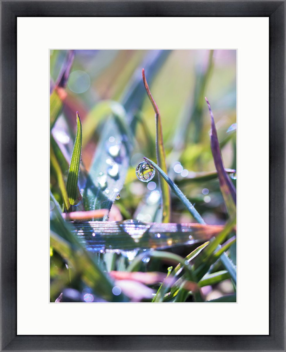 RAINBOW MORNING - DREAMY MACRO PHOTOGRAPHY OF DEWDROPS IN THE GRASS, FRAMED AND READY TO H... by Inna Etuvgi